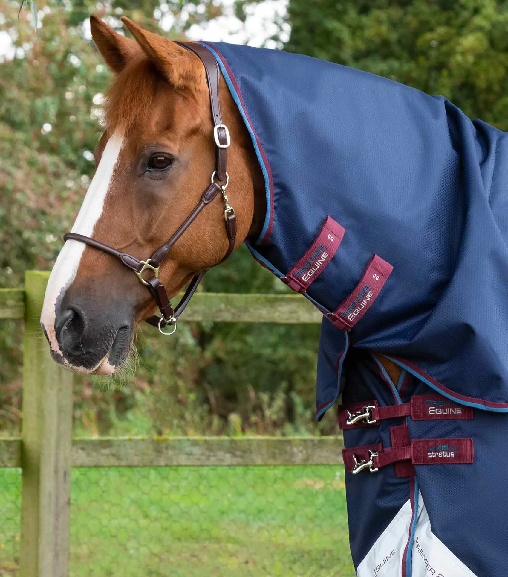 Akoni 0g Turnout Rug with Classic Neck Cover Navy