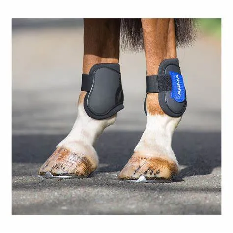 Arma Fetlock Boots