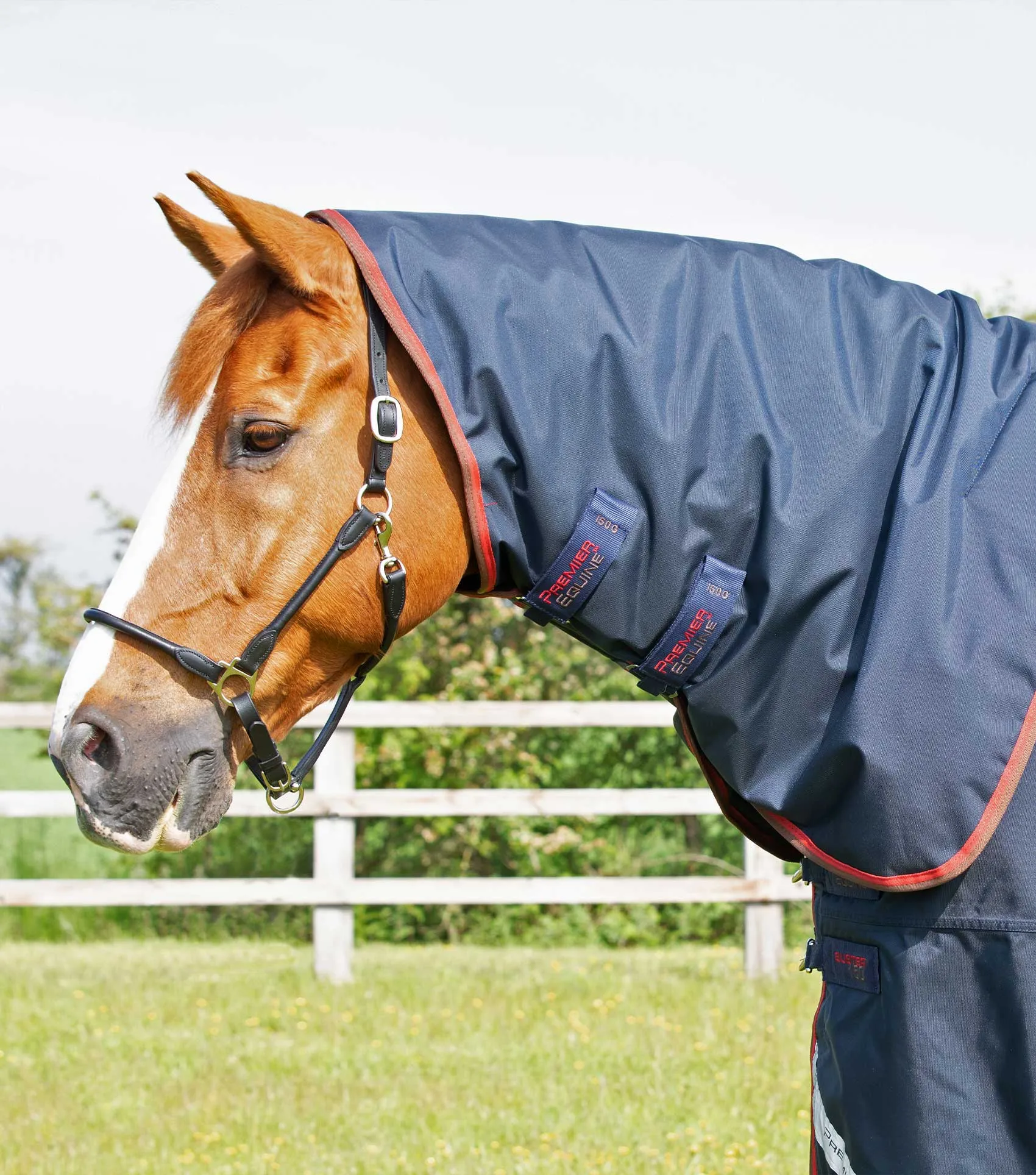 Buster 150g Turnout Rug with Classic Neck Cover Navy