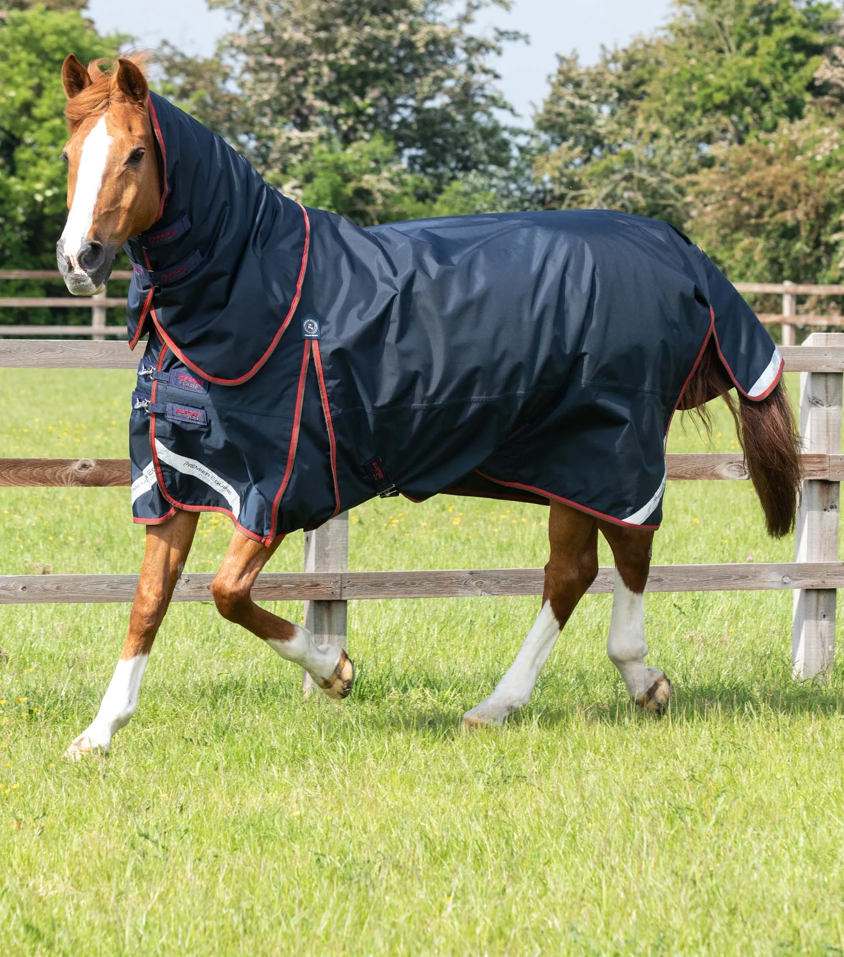 Buster 150g Turnout Rug with Classic Neck Cover Navy