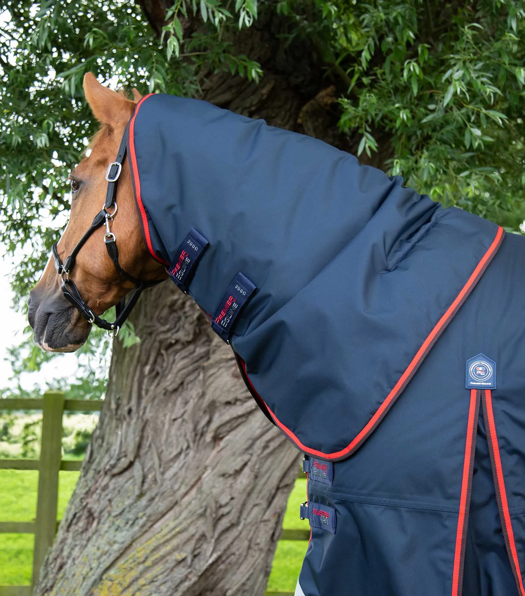 Buster 420g Turnout Rug with Classic Neck Cover Navy