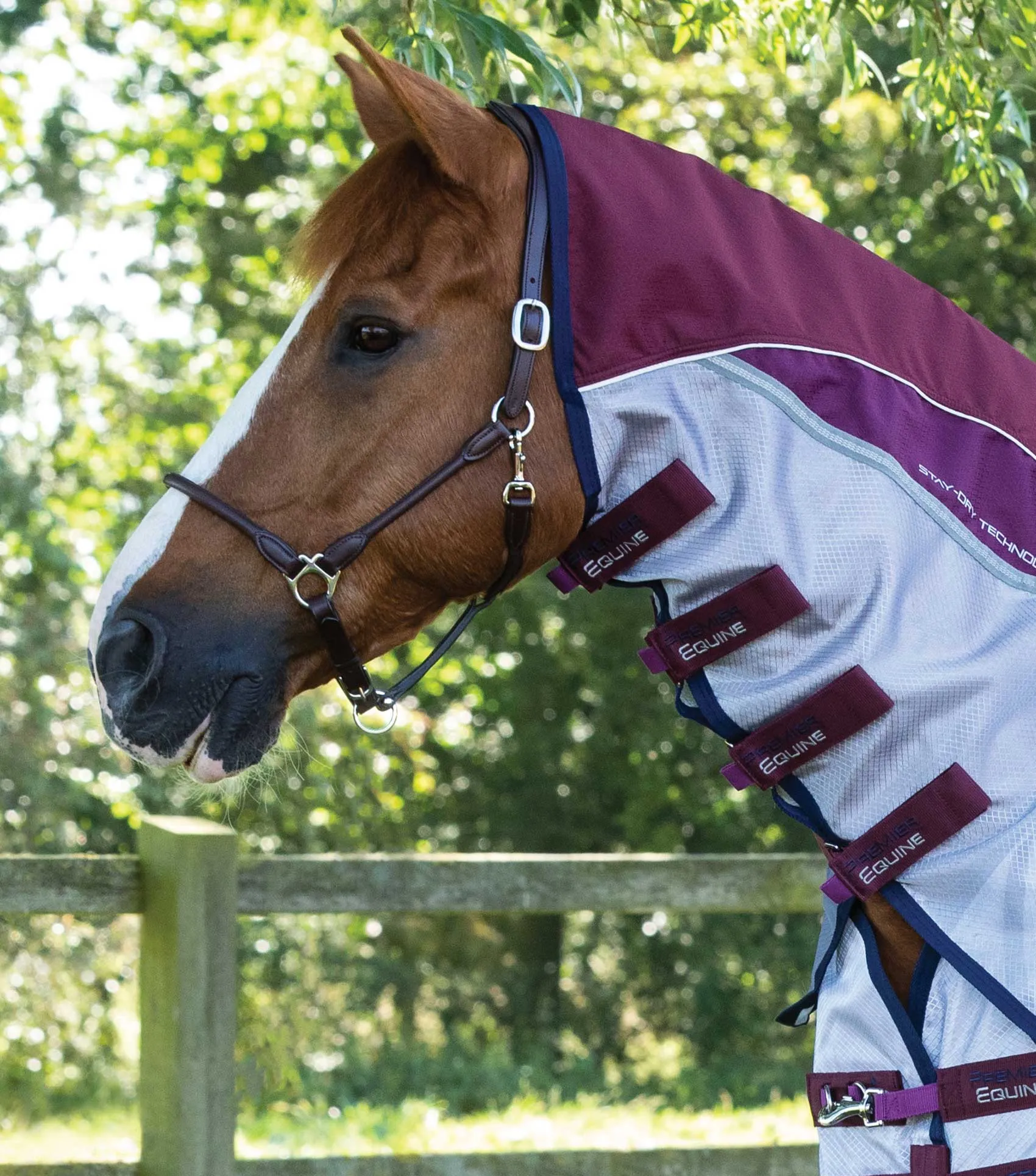 Buster Stay-Dry Super Lite Fly Rug with Surcingles Wine