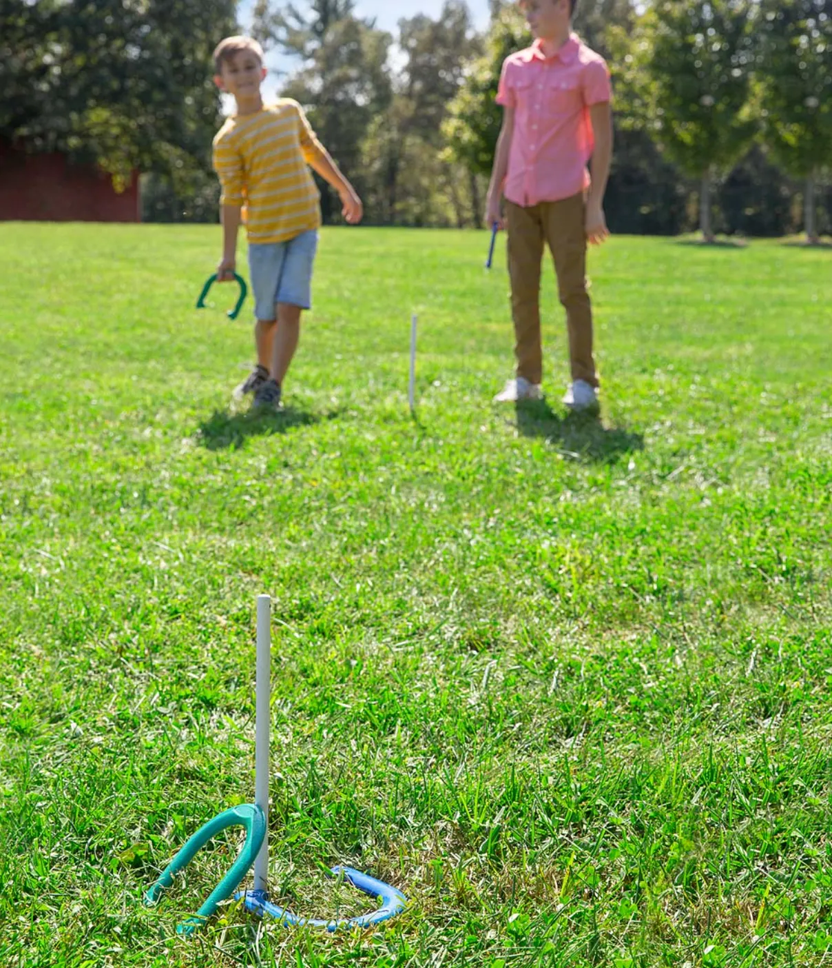 Horseshoes Game Set