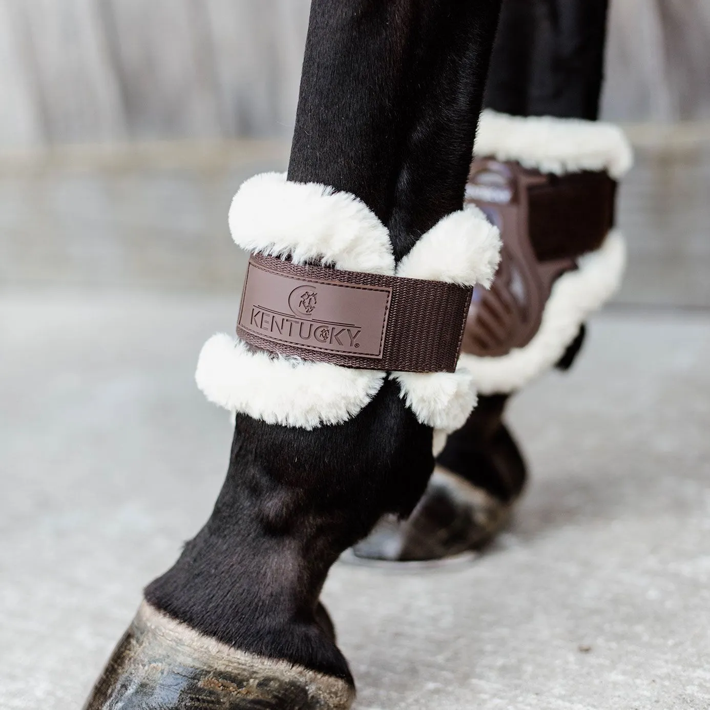 Kentucky Horsewear Sheepskin Young Horse Fetlock Boots Air - Brown