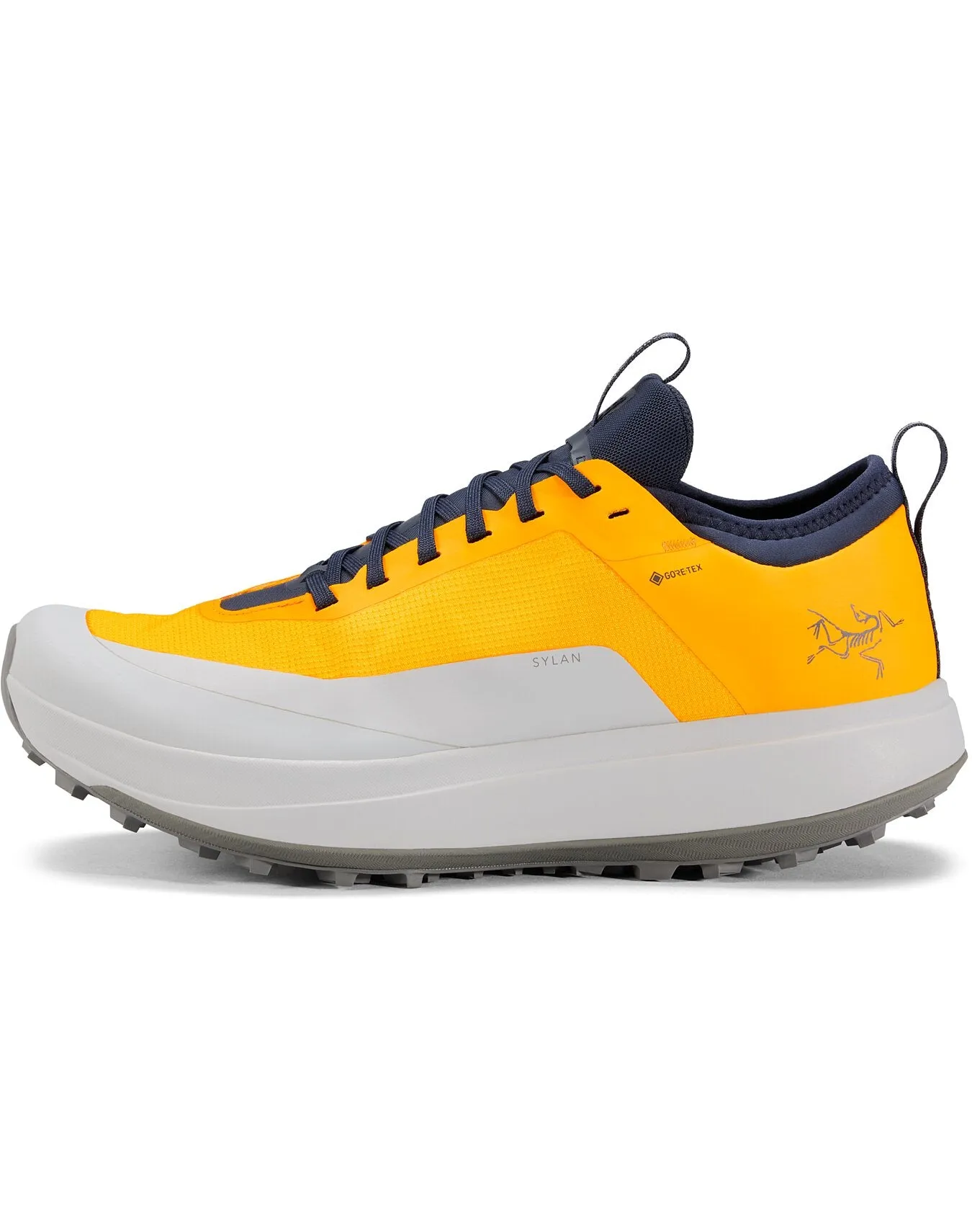 Men's Sylan GTX Trail Running Shoes (Past Season)