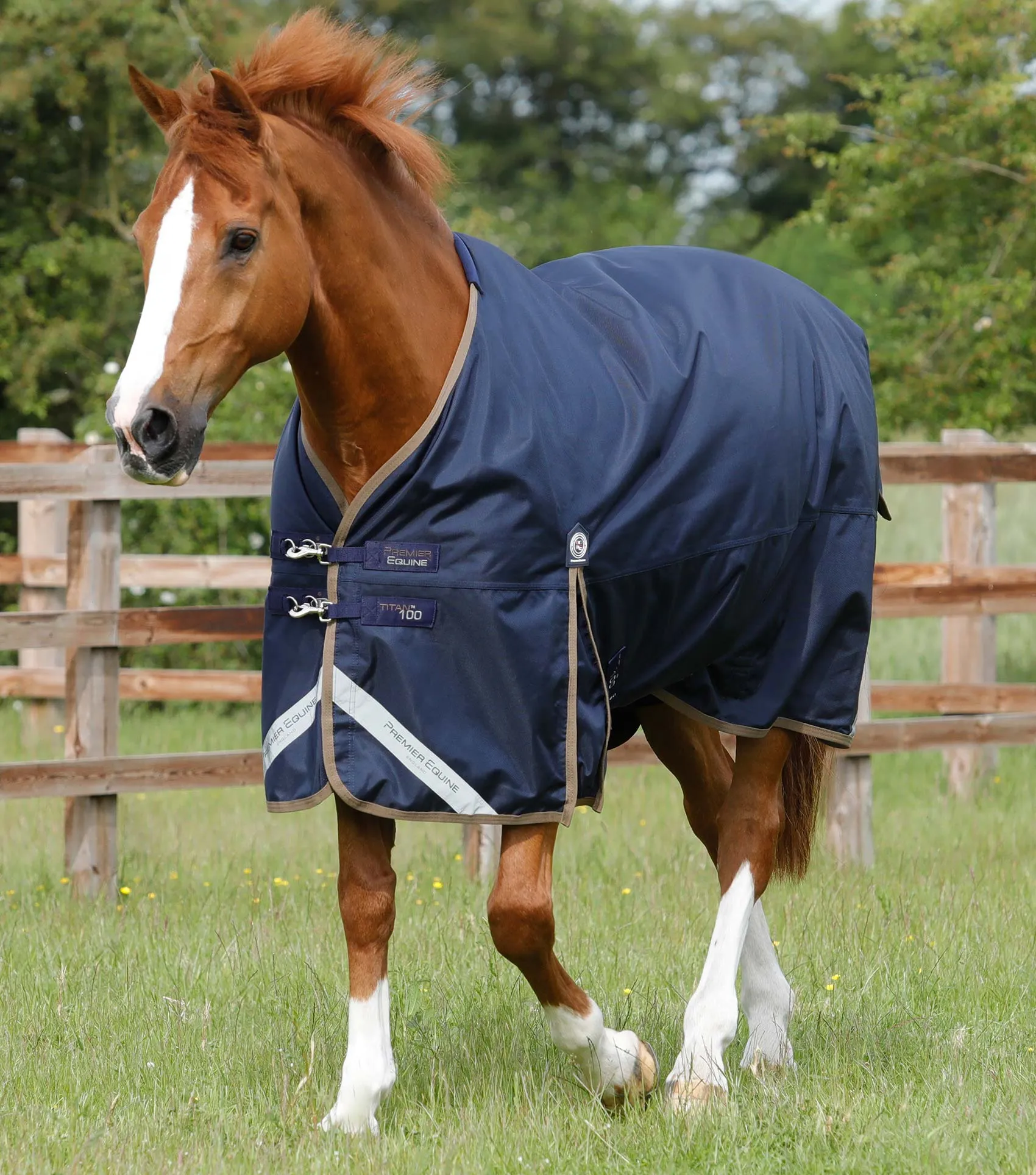 Titan 100g Original Turnout Rug Navy